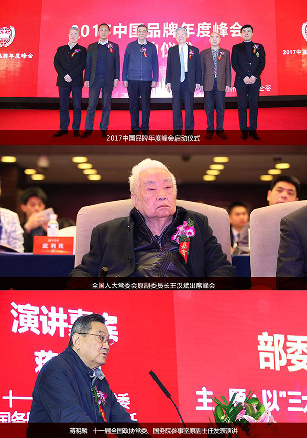 2017中国品牌年度峰会启动仪式